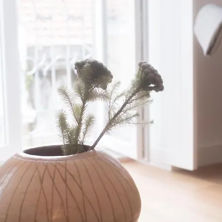 Vale Quiet & Comfort Flat Appartement