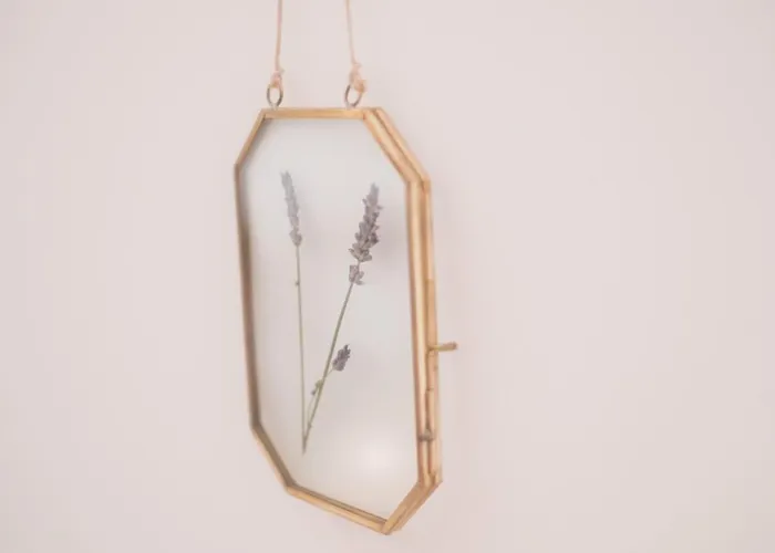 Vale Quiet And Comfortable